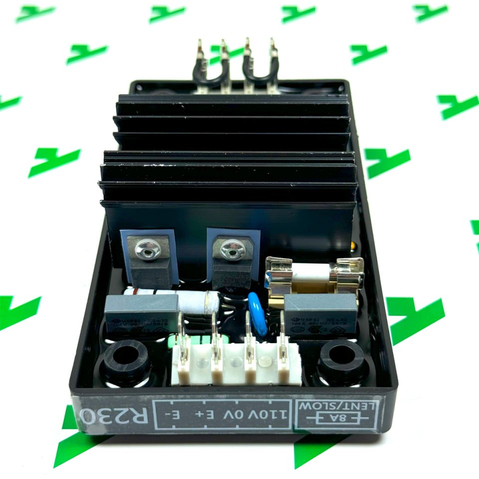 LEROY SOMER R230 için AVR